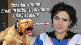 Cezadan korkan pitbull köpeklerini sokağa salıyor