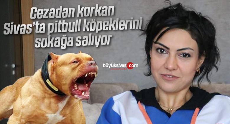 Cezadan korkan pitbull köpeklerini sokağa salıyor