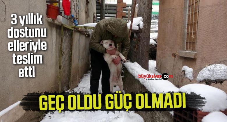 Yasaklı köpeğini gecikmeli olarak teslim etti