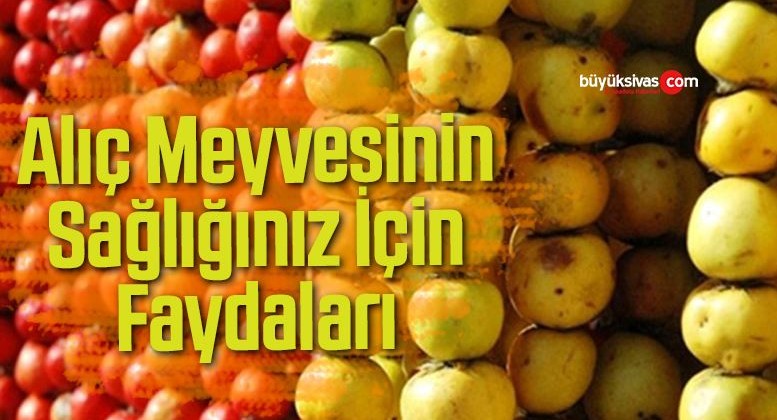 Alıç Meyvesinin Sağlığınız İçin Faydaları