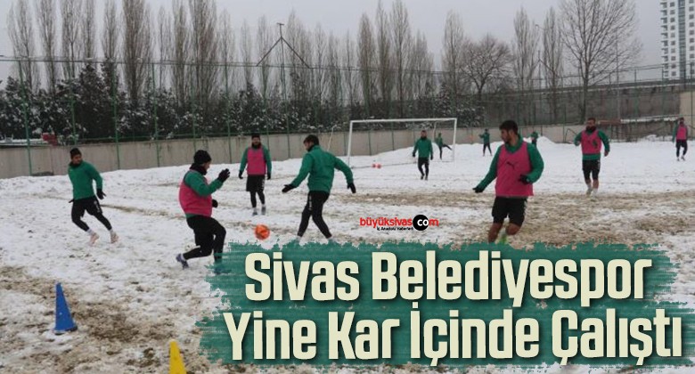 Sivas Belediyespor Yine Kar İçinde Çalıştı