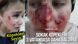 Başıboş sokak köpekleri 3 kişiyi daha yaraladı