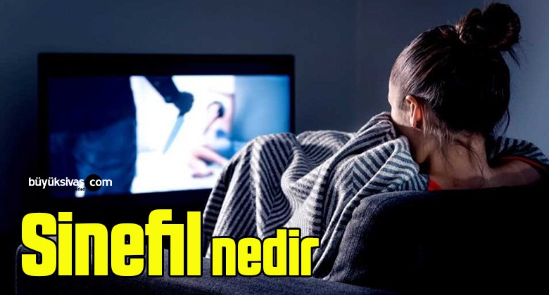 Sinefil nedir