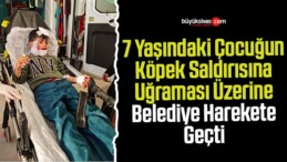 7 Yaşında Çocuğun Köpek Saldırısına Uğraması Üzerine Belediye Harekete Geçti