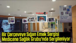 Bir Çerçeveye Sığan Emek Sergisi Medicana Sağlık Grubu’nda Sergileniyor