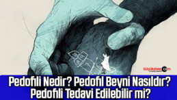 Pedofili Nedir? Pedofil Beyni Nasıldır? Pedofili Tedavi Edilebilir mi?