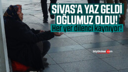 Sivas’a yaz geldi oğlumuz oldu! Her yer dilenci kaynıyor!