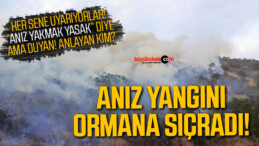 Anız yangını ormana sıçradı