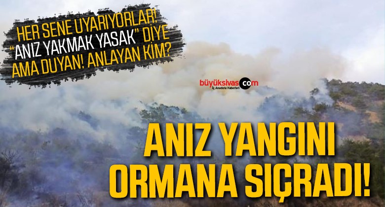 Anız yangını ormana sıçradı