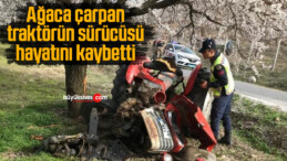 Ağaca çarpan traktörün sürücüsü hayatını kaybetti