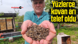 Yüzlerce kovan arı telef oldu