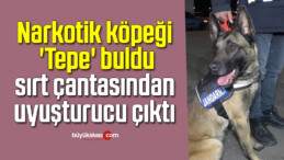 Narkotik köpeği ‘Tepe’ buldu, sırt çantasından uyuşturucu çıktı