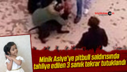 Minik Asiye’ye pitbull saldırısında tahliye edilen 3 sanık tekrar tutuklandı