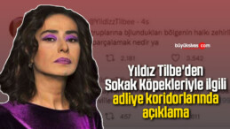 Yıldız Tilbe’den Sokak Köpekleriyle ilgili adliye koridorlarında açıklama