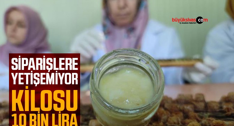 Kilosu 10 bin liradan satılıyor! Siparişlere yetişemiyor!