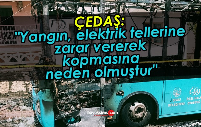 “Yangın, elektrik tellerine zarar vererek kopmasına neden olmuştur”