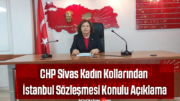 CHP Sivas Kadın Kollarından İstanbul Sözleşmesi Konulu Açıklama