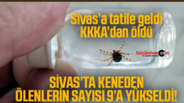 Sivas’a tatile geldi KKKA’dan öldü