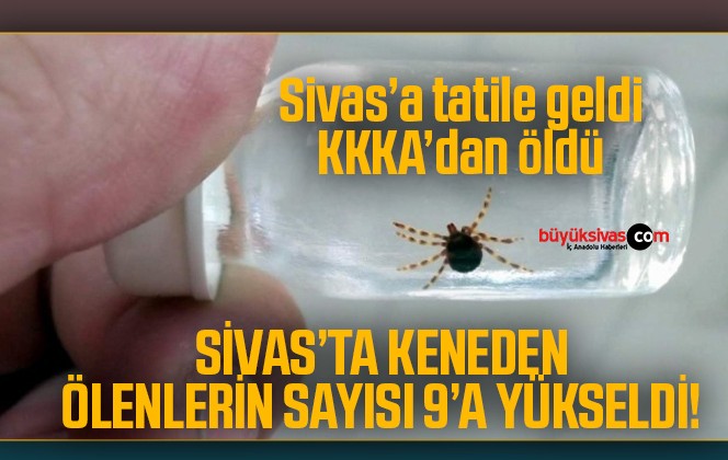 Sivas’a tatile geldi KKKA’dan öldü