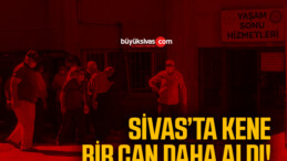 Sivas’ta kene bir can daha aldı