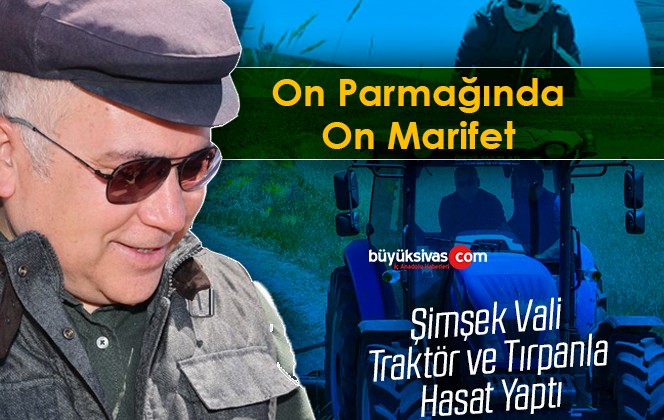 Vali Şimşek, Traktör ve Tırpanla Hasat Yaptı