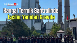 Kangal Termik Santralinde İşçiler Yeniden Grevde