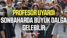 Profesör uyardı: Sonbaharda büyük dalga gelebilir