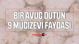 Bir avuç dutun 9 mucizevi faydası!