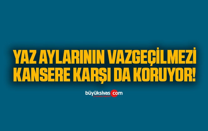 Yaz aylarının vazgeçilmezi! Kansere karşı da koruyor!