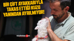 Bir çift ayakkabıyla takas ettiği kuzu yanından ayrılmıyor