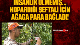 İnsanlık ölmemiş…Kopardığı şeftali için ağaca para bağladı