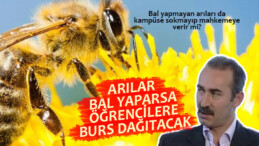 Akademik arılar sağıldı, üretim artarsa bal bursa dönüşecek