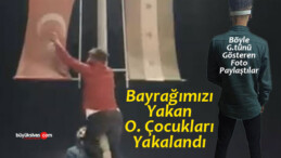 Türk bayrağı yakmaya çalışan 2 kişi yakalandı