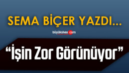 Köşe Yazarımız Sema Biçer Yazdı “İşin Zor Görünüyor”