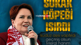 Meral Akşener’i sokak köpeği ısırdı!