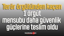 Terör örgütünden kaçan 1 örgüt mensubu daha güvenlik güçlerine teslim oldu