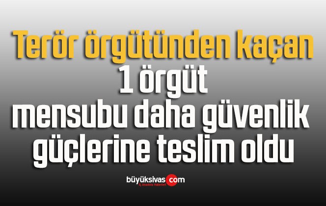 Terör örgütünden kaçan 1 örgüt mensubu daha güvenlik güçlerine teslim oldu