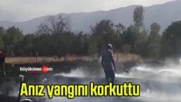 Anız yangını korkuttu