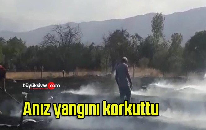 Anız yangını korkuttu