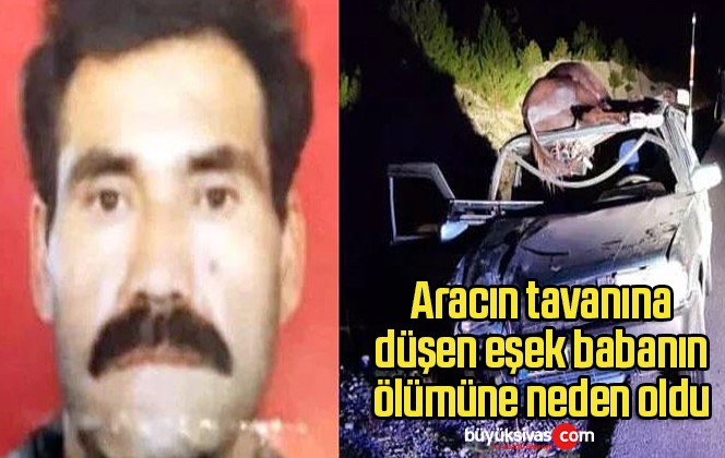 Aracın tavanına düşen eşek, babanın ölümüne neden oldu