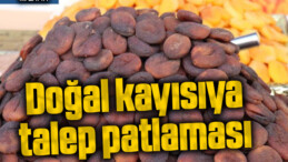 Doğal kayısıya talep patlaması