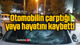 Otomobilin çarptığı yaya hayatını kaybetti