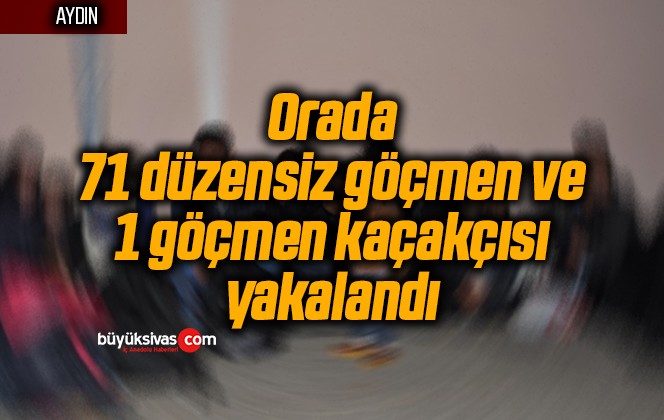 Orada 71 düzensiz göçmen ve 1 göçmen kaçakçısı yakalandı