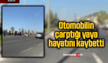 Otomobilin çarptığı yaya hayatını kaybetti