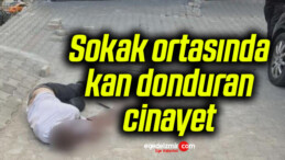 Sokak ortasında kan donduran cinayet