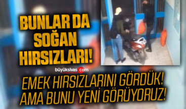 Bunlar da soğan hırsızları