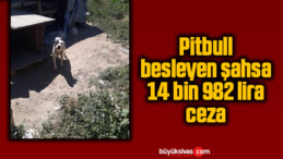 Pitbull besleyen şahsa 14 bin 982 lira ceza