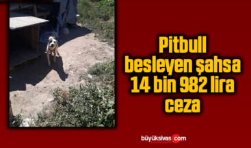 Pitbull besleyen şahsa 14 bin 982 lira ceza