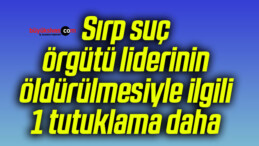 Sırp suç örgütü liderinin öldürülmesiyle ilgili 1 tutuklama daha