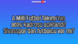 A Milli Futbol Takımı’nın aday kadrosu açıklandı! Sivasspor’dan futbolcu var mı?